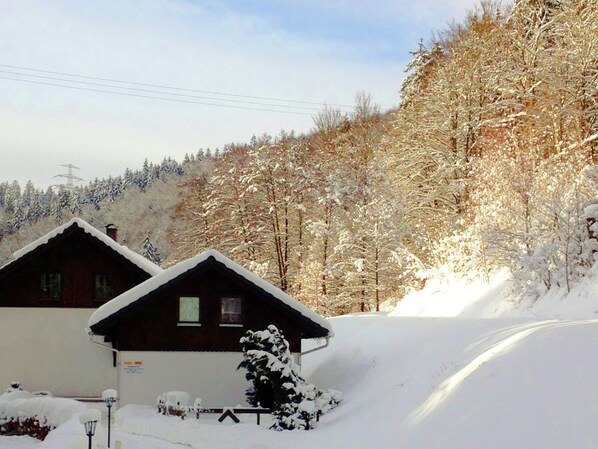 A cabin with a sloped roof, surrounded by snow-covered trees and a clear sky. - Apartment Near Rennsteig (Goldisthal)