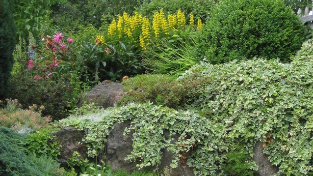 Un jardín con diversas plantas y flores, incluyendo flores amarillas y rosas, y un muro de piedra parcialmente cubierto de hiedra.