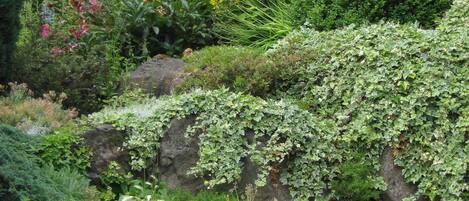 Apartment | Aussenbereich