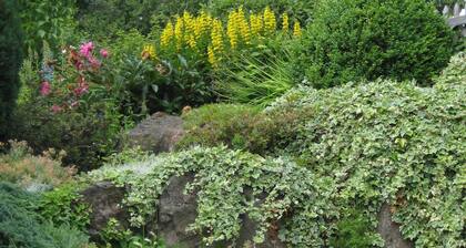 House With Interior and Garden in Volcanic Eifel