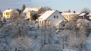 Una zona residencial con casas cubiertas de nieve, rodeada de árboles sin hojas.