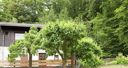 Apartment Near Willingen & Winterberg Ski Slopes