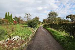 A rural pathway flanked by lush greenery and flowering plants. - Holiday Home in Epen With Garden & BBQ (Epen)