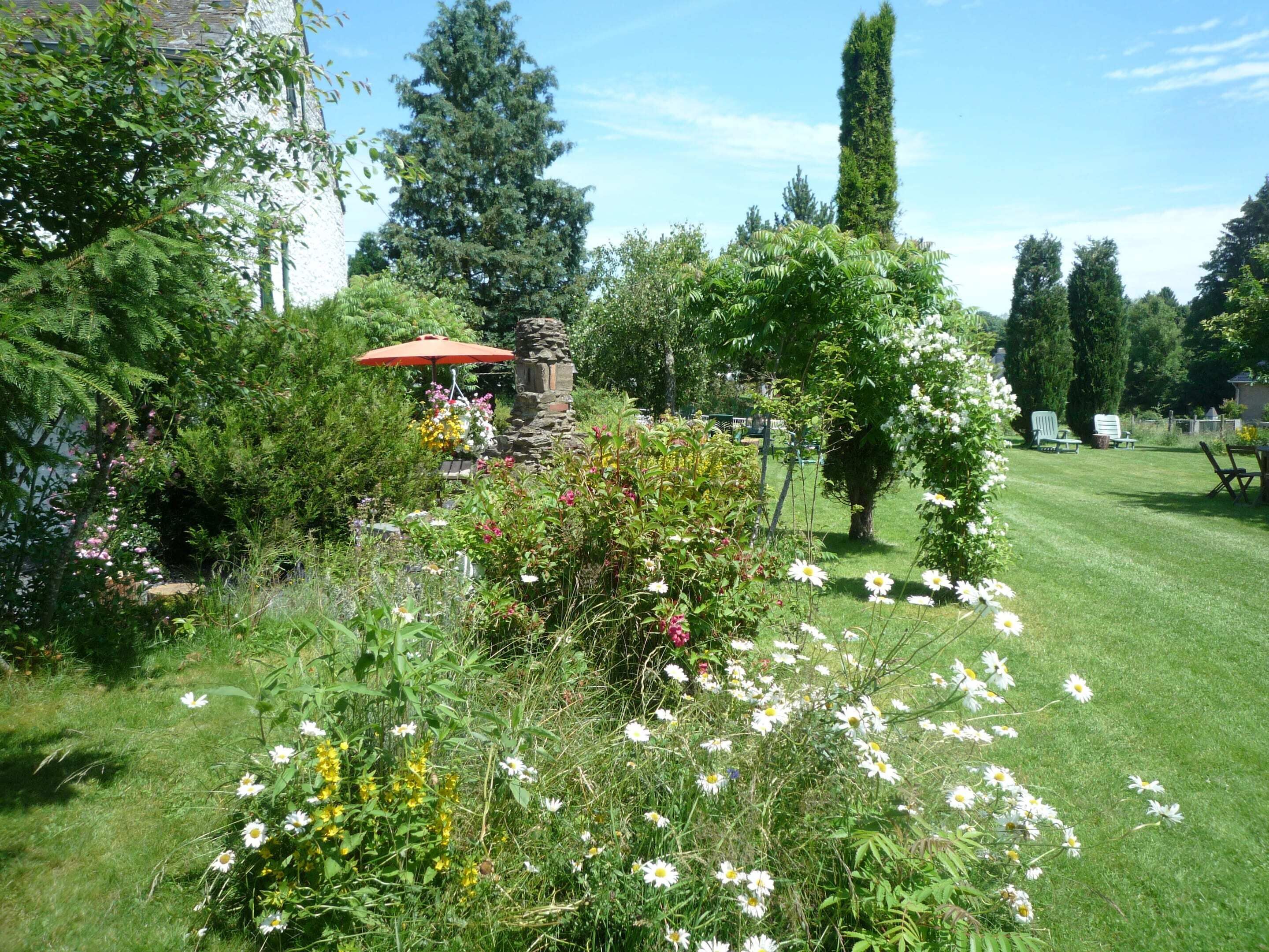Ein Garten mit einer Steinstruktur, verschiedenen Pflanzen und einer Rasenfläche.
