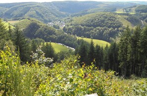 Vista desde la propiedad