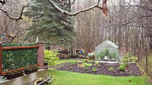 A garden with a greenhouse, a brick wall, and a variety of plants. - Waldblick Forest Retreat (Schmogrow)