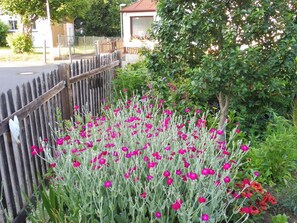 A garden with pink flowers and a wooden fence. - Spacious Apartment in Pracht near Forest (Pracht)