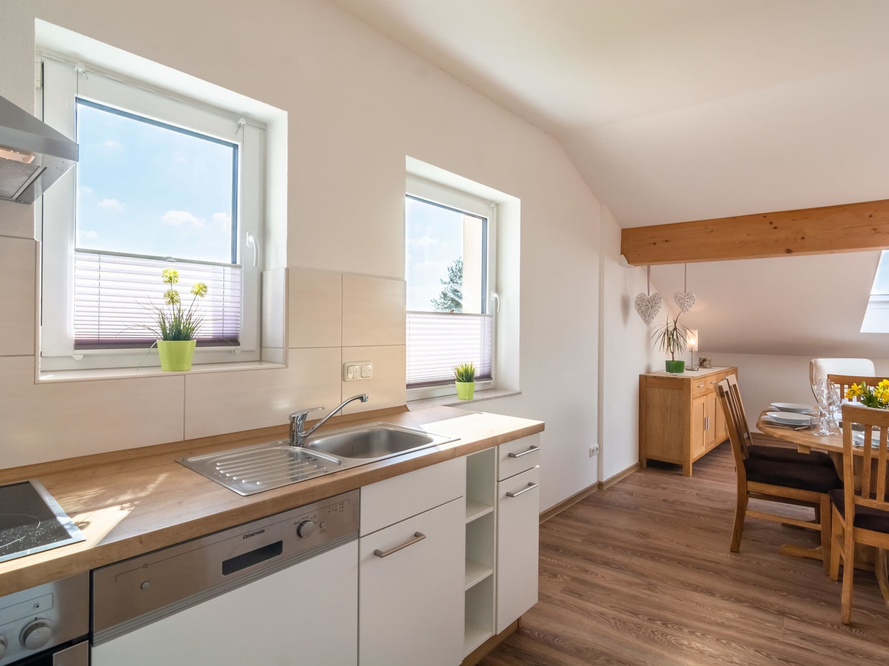 A modern kitchen with a built-in dishwasher, a sink, and a window with a potted plant.