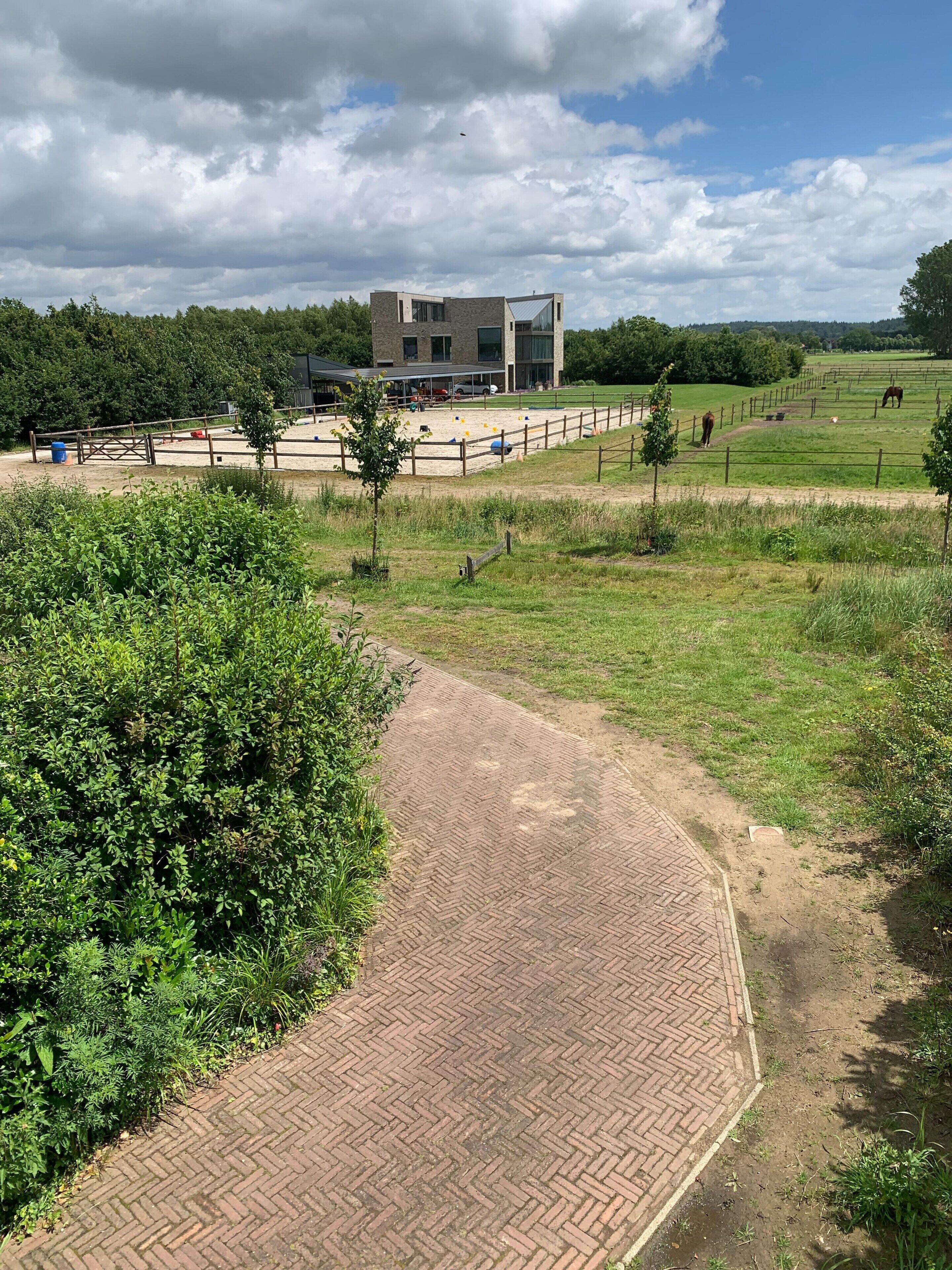 Un vialetto lastricato conduce a un edificio dal design moderno, immerso in campi verdi e alberi.