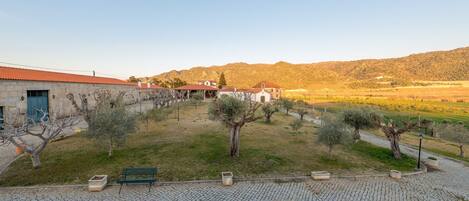 Casa de campo | Jardín