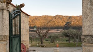 A stone building with a green gate, a cobblestone path, and a park with trees and benches. - Cozy Cottage With Swimming Pool (Vila Flor)