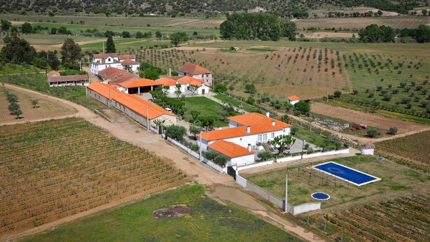 Cottage | View from property - Cozy Cottage With Swimming Pool (Vila Flor)