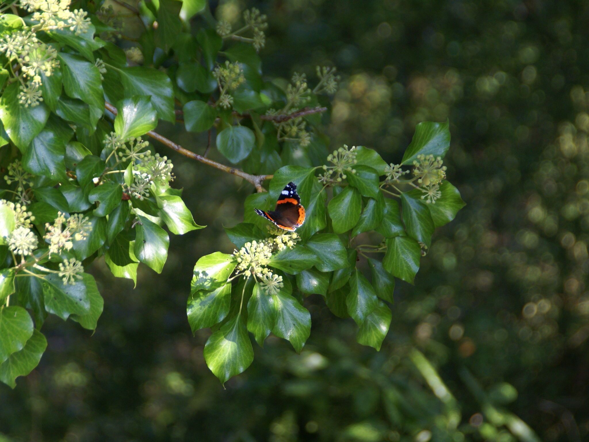 Khuôn viên nơi lưu trú