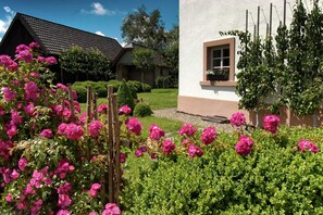 House | Garden - Holiday Home in Bullange With Sauna (Buellingen)