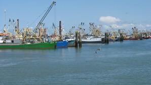 A harbor with multiple fishing boats docked, cranes, and a clear sky.