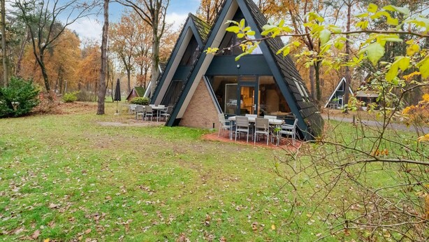 A modern, triangular-shaped building with a glass entrance, surrounded by a grassy area and trees with autumn leaves. - Bungalow in Limburg Near Nature Reserves (Stramproy)