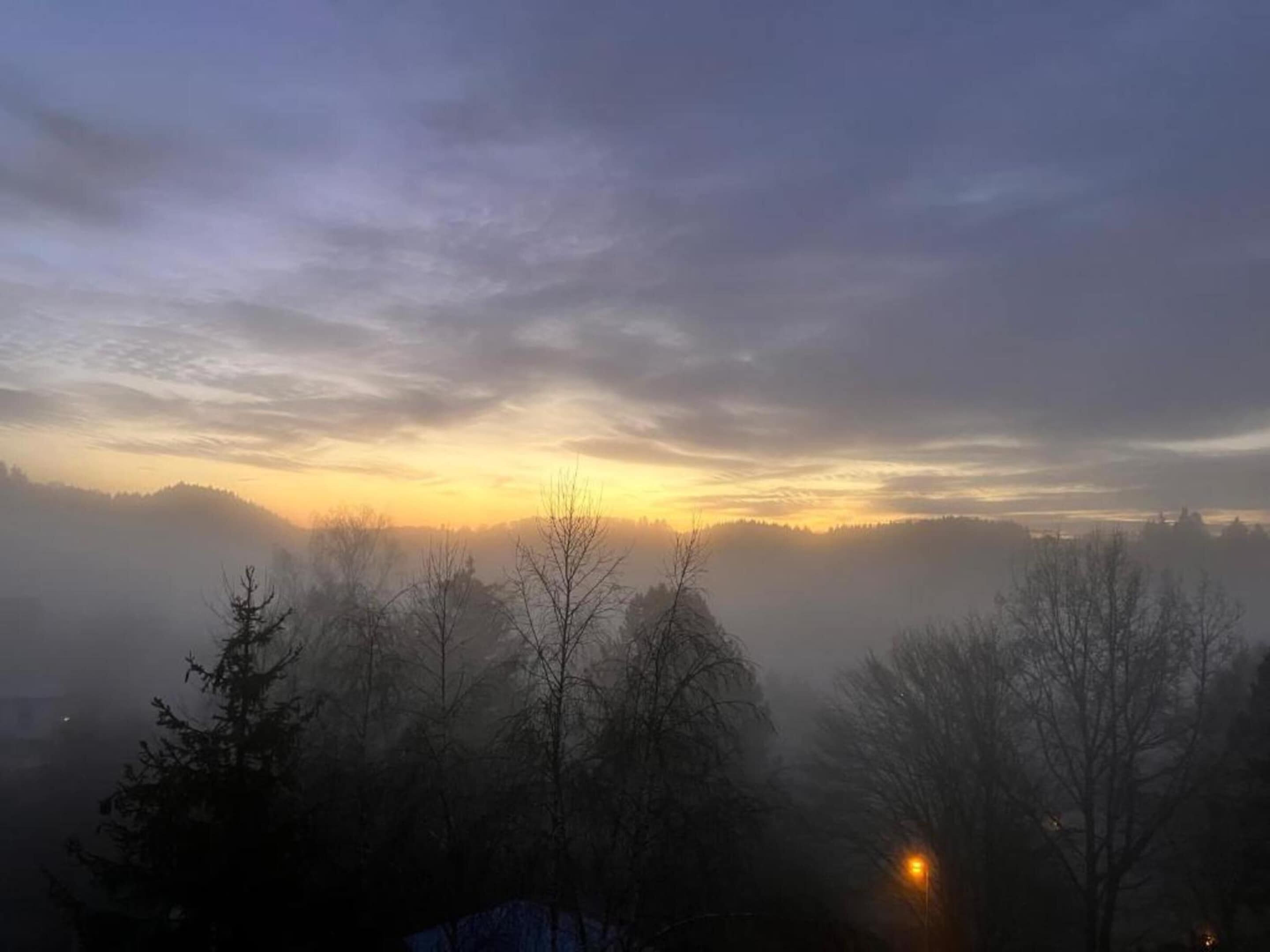 A foggy landscape with trees and a distant light source.