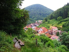 Exterior - Einfamilienhaus in Zorge (Walkenried)