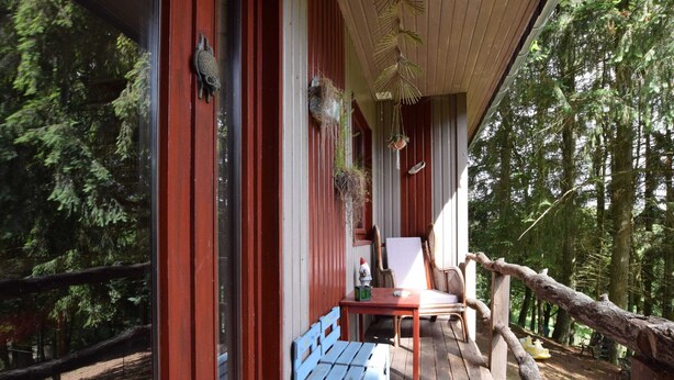 A wooden deck with a bench and chairs, surrounded by trees. - Chalet in a Green and Peaceful Environment (Houffalize)