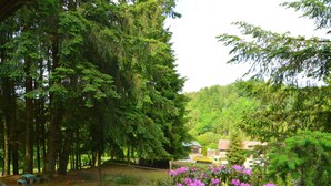 A forested area with a picnic table and benches, surrounded by tall trees and a purple flowering bush. - Chalet in a Green and Peaceful Environment (Houffalize)