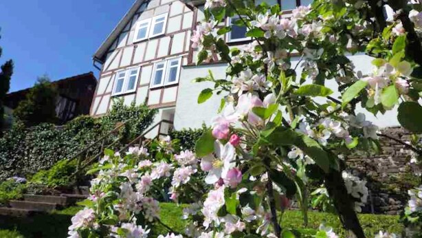 A traditional half-timbered house with a garden in full bloom. - Wohnung in der Nahe des Skigebietes Battenberg (Battenberg)