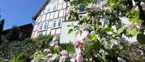 شقة | المنشأة من الخارج