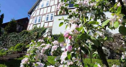 Wohnung in der Nahe des Skigebietes Battenberg