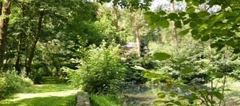 Forest Cottage With Ponds