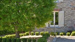 A stone building with a gravel driveway and a tree providing shade.