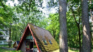 Exterior - Scenic Holiday Home With Terrace, Garden Furniture, Bicycles (Stramproy)