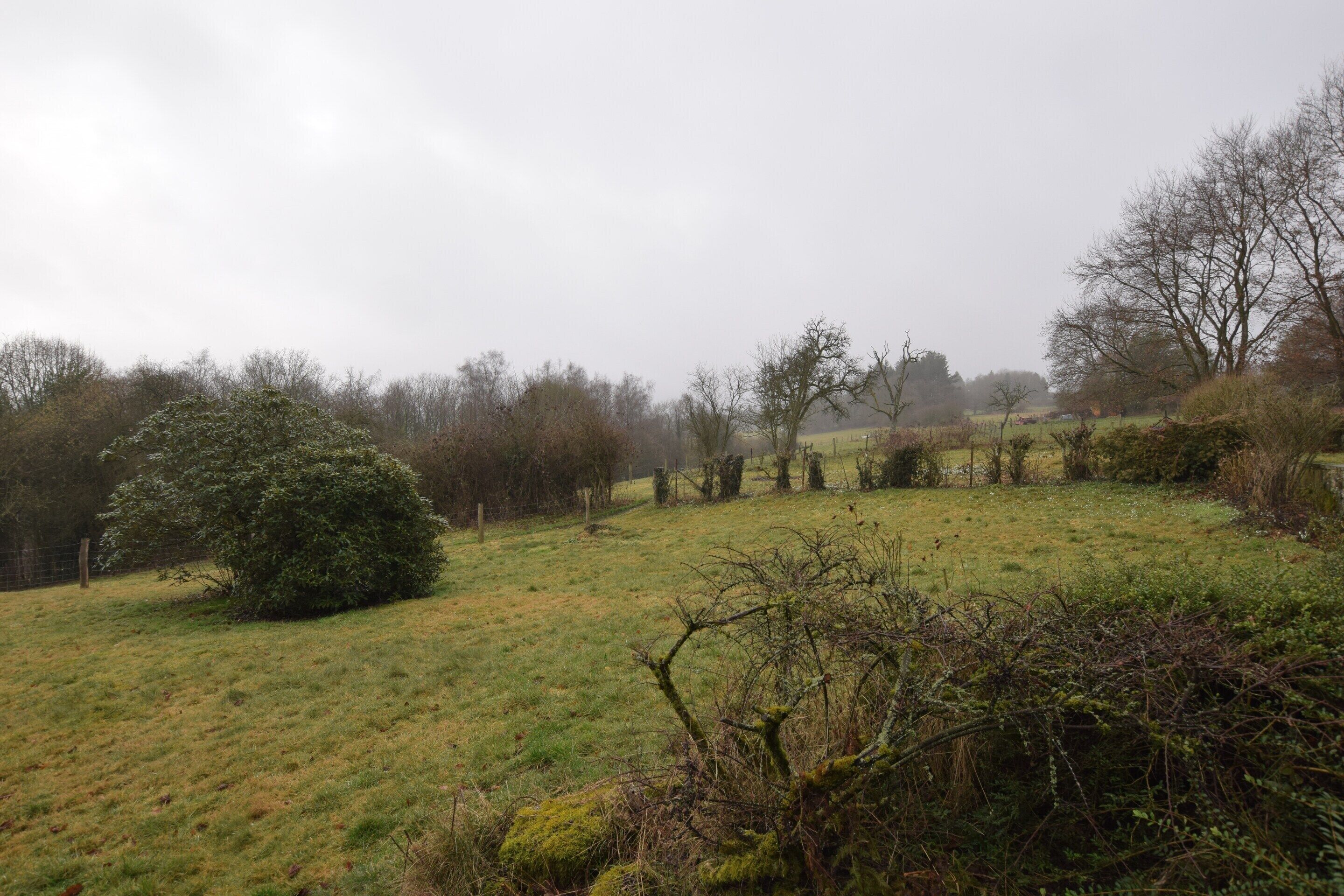 Paisaje rural con un campo cubierto de hierba, árboles y una valla.