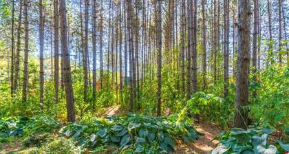 Cosy, 1800 Farmhouse With Sauna