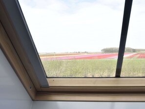Blick von der Unterkunft