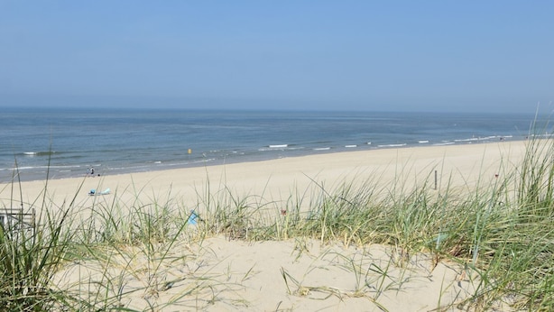 A beach with sand dunes and a clear view of the ocean. - Apartment Near Groote Keeten Beach (Callantsoog)
