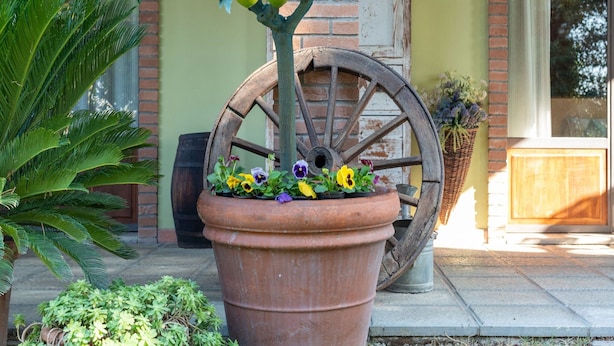 Un grande vaso in terracotta con fiori e un albero da frutto, posizionato su un patio con una ruota antica e un muro di mattoni sullo sfondo.