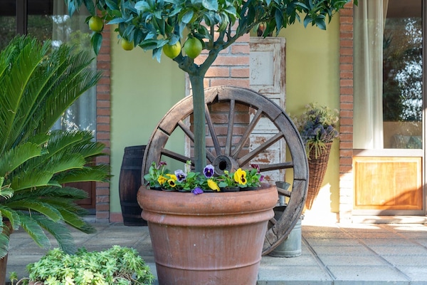 Hus | Udendørsområde