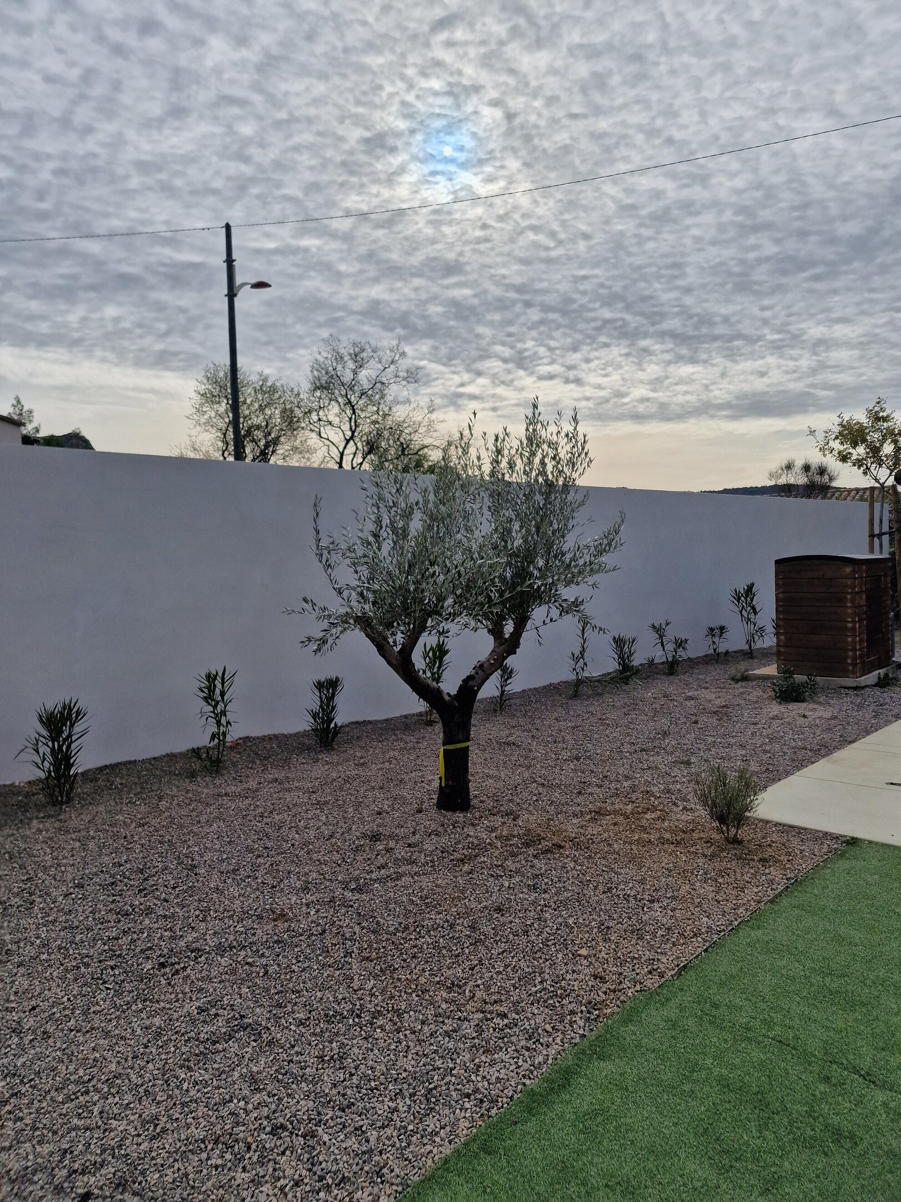 Villa | Garden