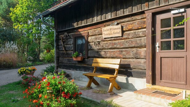 A rustic wooden building with a bench outside, surrounded by potted plants and flowers. - Holiday Home in the Forest (Schmogrow)