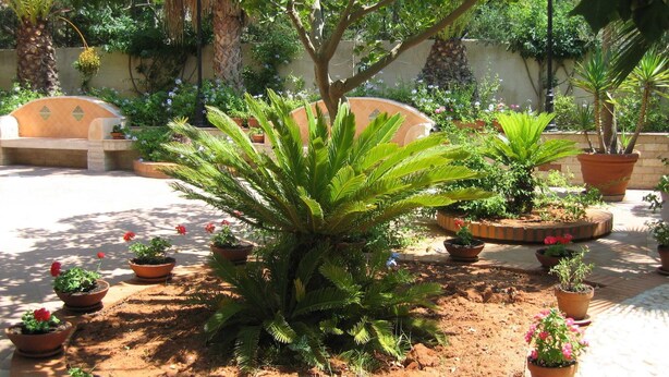A garden with various potted plants and a central tree. - Simplistic Holiday Home in Sciacca near Horse Riding (Sciacca)