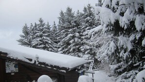 A cabin surrounded by snow-covered trees. - Large Holiday Home in Battenhausen With Garden (Haina)