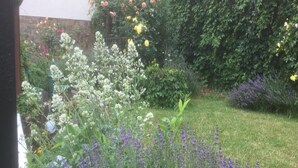 Un jardín con diversas plantas florecientes y un seto.