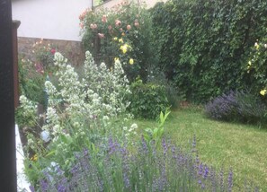 House | View from property - Comfort in Franconian Hills (Zeil)