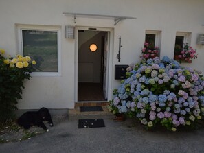 Reception - Restful Apartment in Raversbeuren near Town Center (Briedel)
