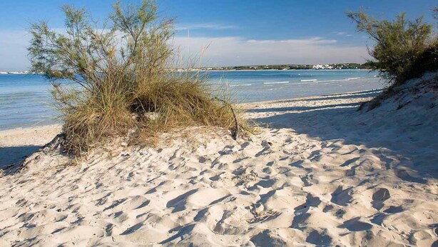 House | View from property - Quaint Holiday Home in Lecce Apulia near Town Center (Casarano)