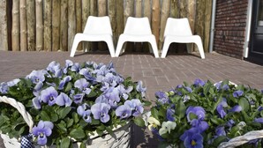 A patio area with three white plastic chairs and a potted plant with purple flowers.