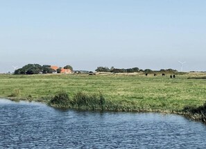 House | View from property - Cozy Holiday Home in Callantsoog near Groote Keeten (Callantsoog)