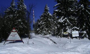Apartment | Außenbereich