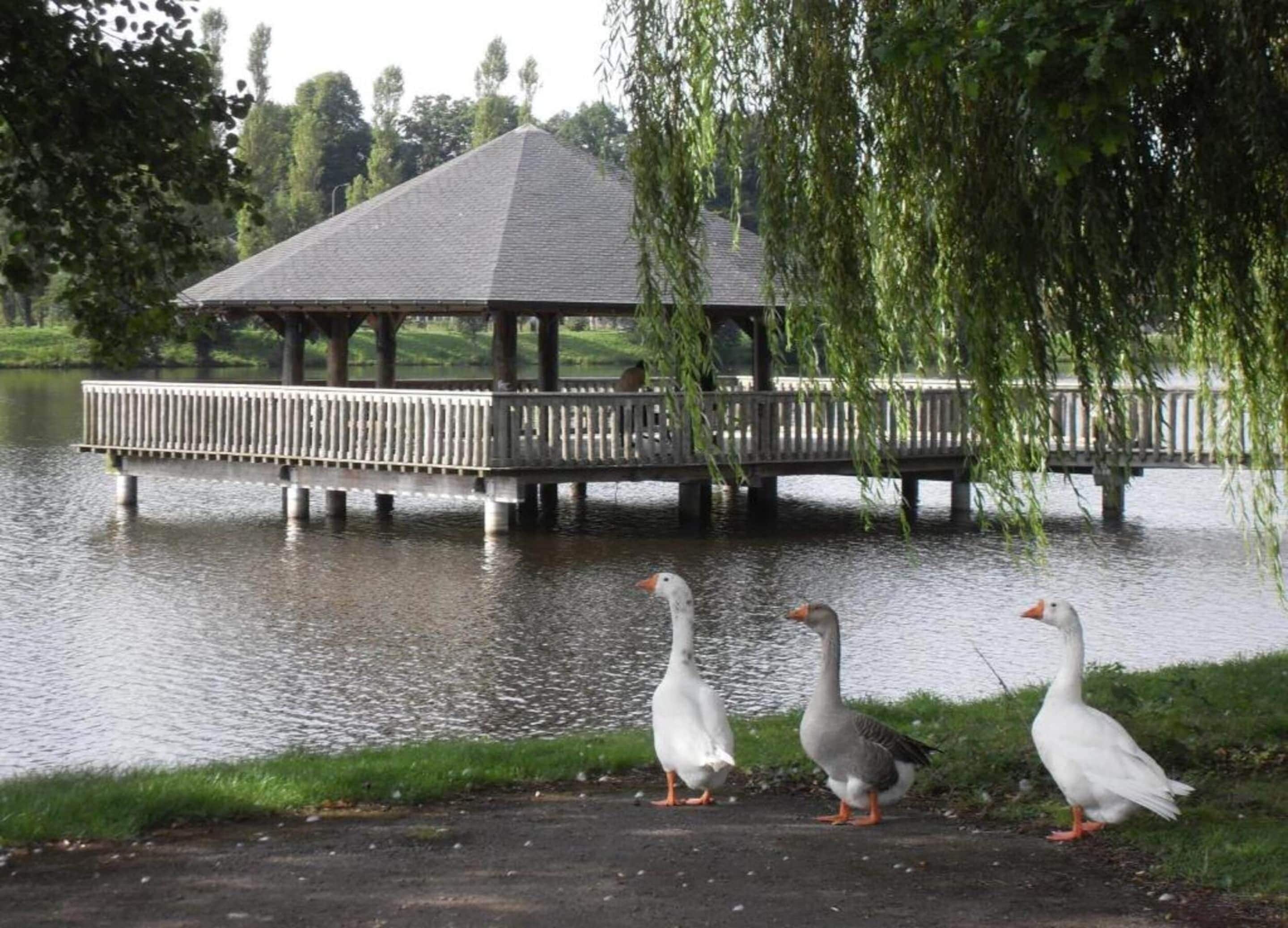 Cottage | View from property