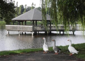 코티지 | 숙박 시설의 전망