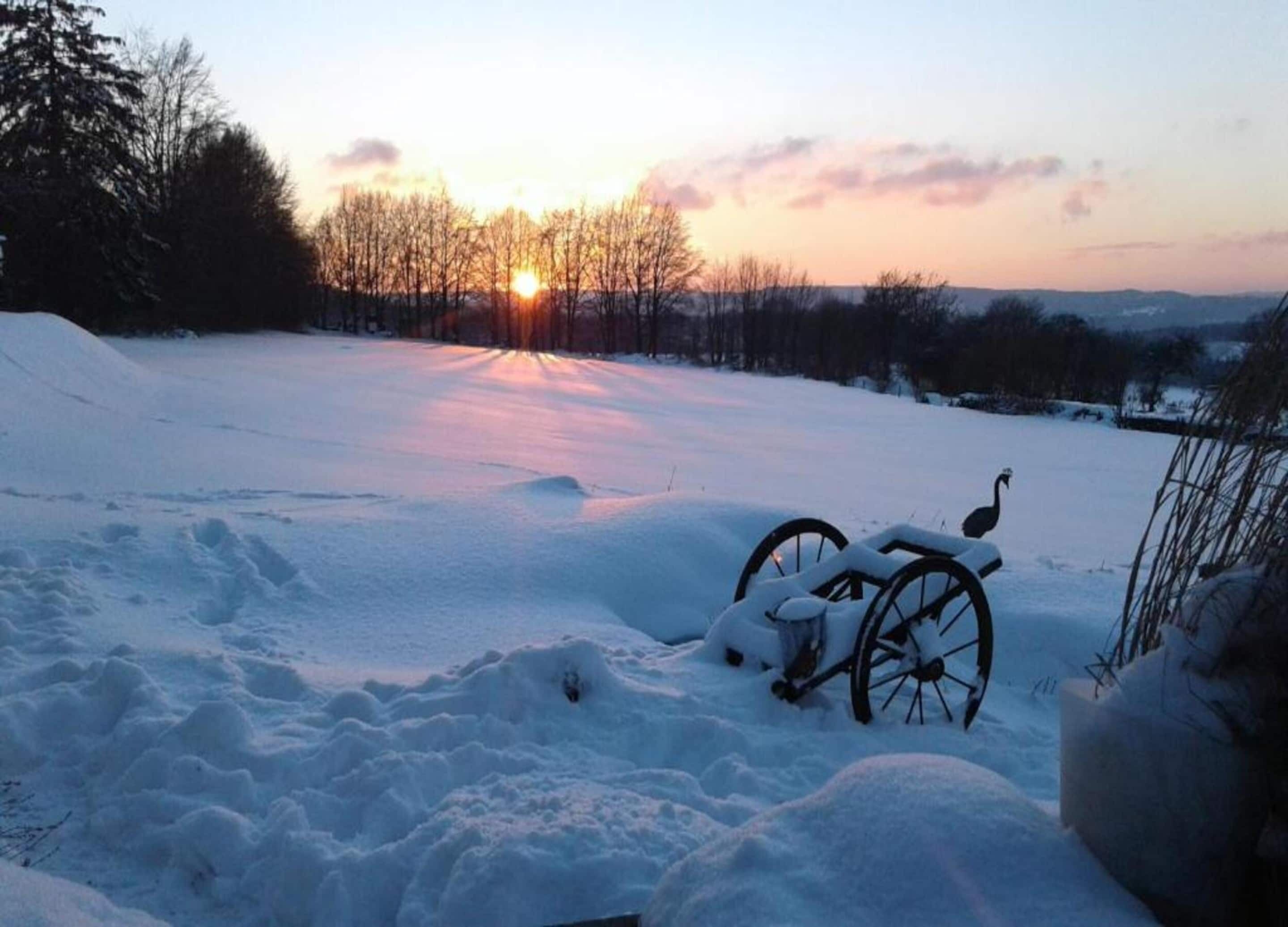 A snow-covered landscape with a wheelchair and a bird statue in the foreground, and a sunset in the background.